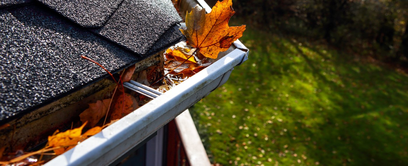 leaves in gutter