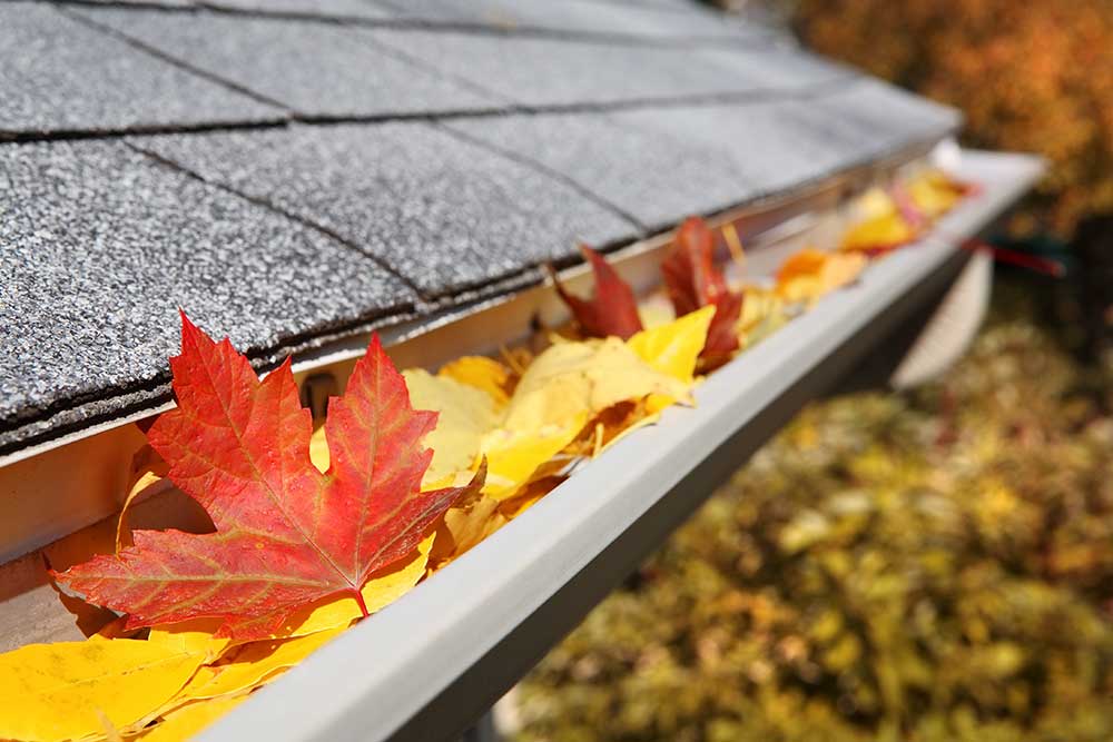 fall leaves inside roof gutter
