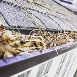 Gutter full of old leaves